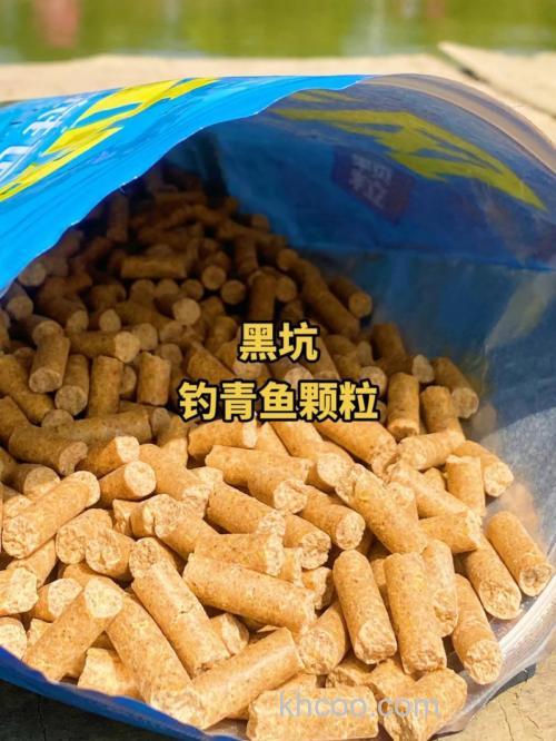 钓青鱼用什么饵料最好?