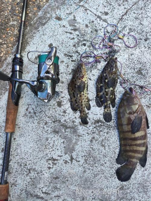 沙巴海钓指南：从新手到高手的蜕变，揭秘最佳季节与实战技巧