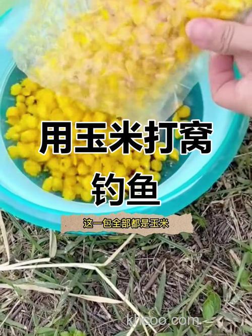 春季钓鲤鱼可以用玉米吗？玉米打窝优点有哪些？