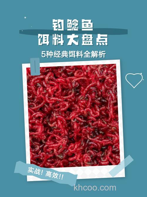 春天钓鲶鱼饵料