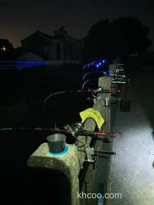 野钓夜钓为何总空手？老张揭秘：从挫败到爆护的实战技巧