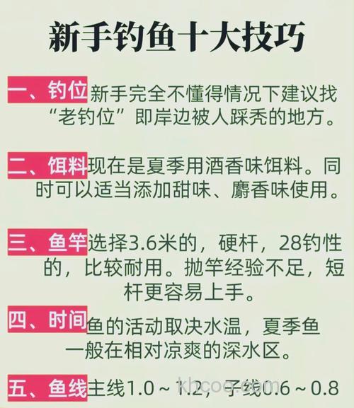 台钓技巧学习如何入门？从挫败到收获，小白进阶真实历程