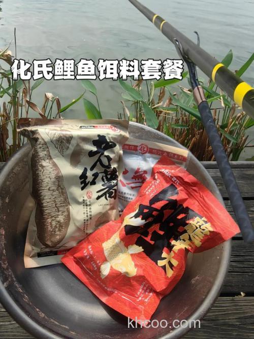 秋天用什么商品饵钓鲤鱼？
