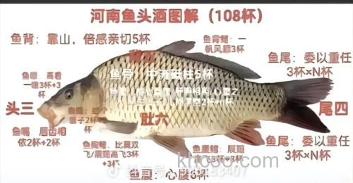 鲤鱼喜欢麝香还是酒味？