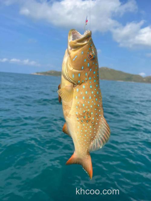 海钓防晒血泪史：十年钓友阿斌亲身经历，教你如何避开晒伤、选对防晒霜