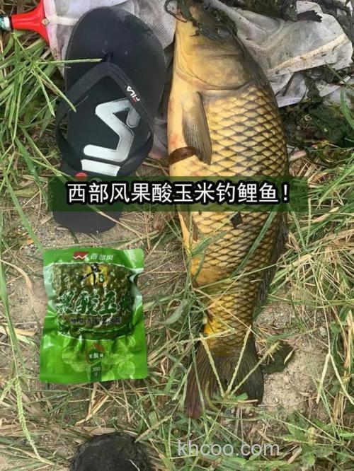 夏天用果酸泡玉米钓草鱼行吗？