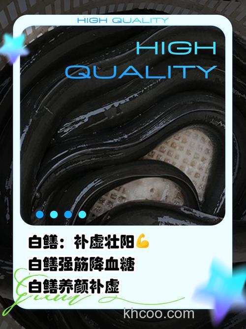 海钓白鳗仅靠运气？错！掌握这些技巧，让你成白鳗杀手