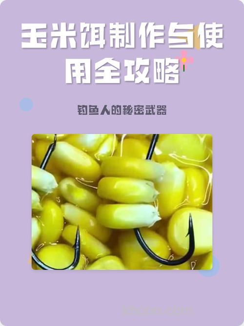 玉米怎样配鱼饵料配方