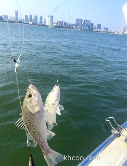 立冬后海钓真能钓到鱼？掌握技巧，收获竟比夏季还多