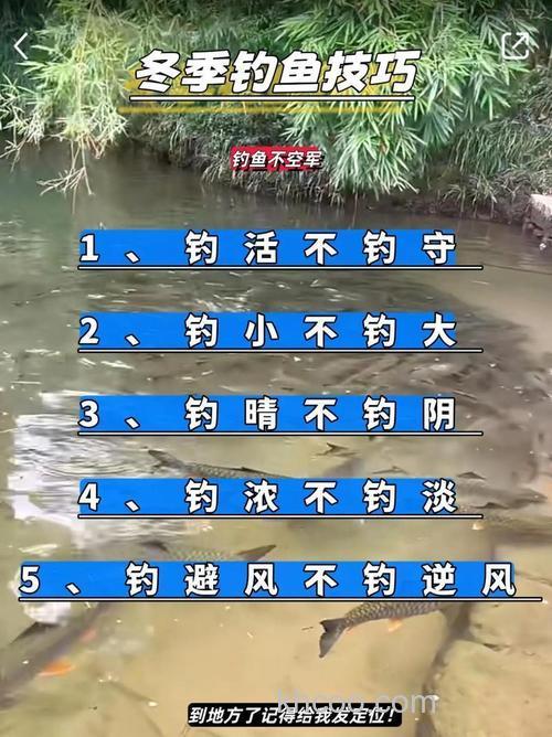 秋末钓鱼冷门技巧曝光，颠覆传统经验，渔获翻倍不是梦