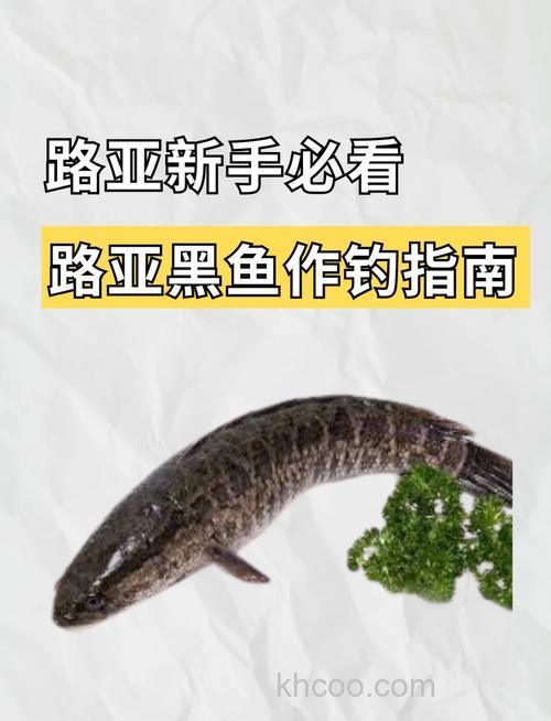 再谈钓黑鱼的钓鱼技巧 2 转文