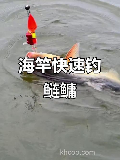 如何在水库使用海竿钓白鲮