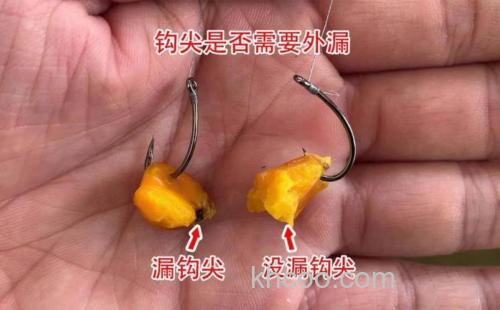 钓鱼挂饵是露出钩尖好还是不露出好