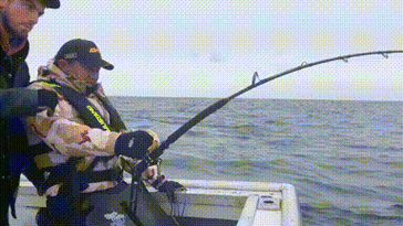 台钓拖钓技法大揭秘：如何结合精准与动态提升渔获量？