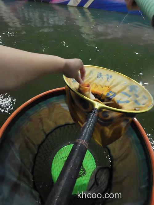 大棚钓鲤鱼什么最重要