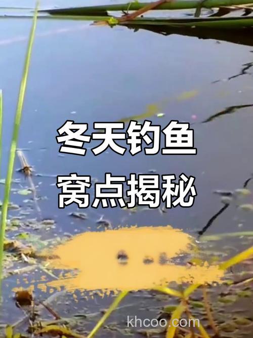 冬天鱼窝一般在哪里？