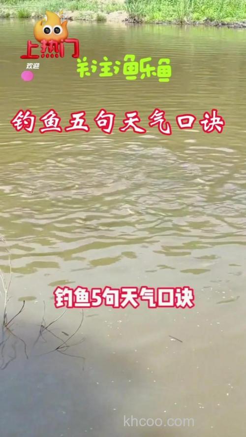 怎样的天气适合钓鱼？