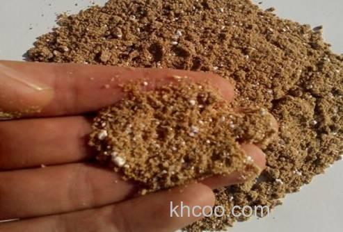 往饵料里打了个生鸡蛋，没想到竟钓了一桶