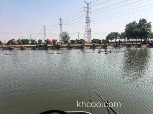 黑坑什么时候去最合适