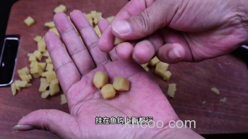 红薯鱼饵制作方法？