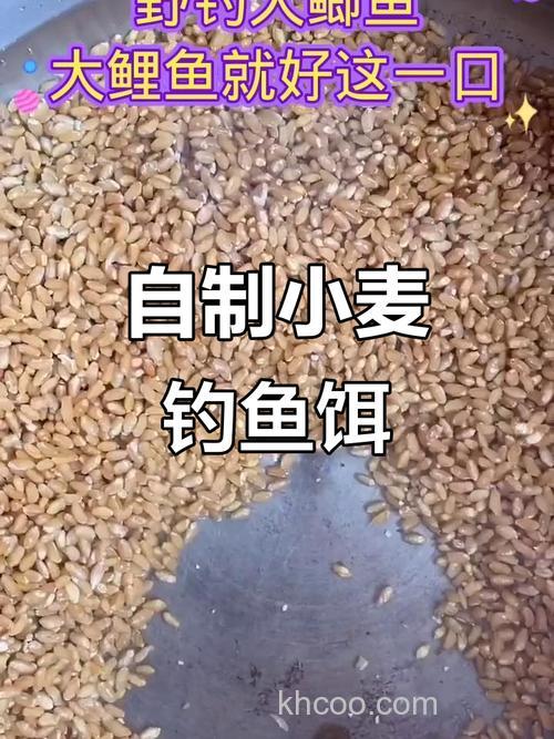 怎样自制麦粒鲫鱼饵