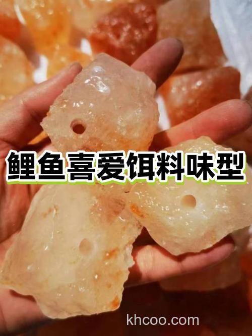 鲤鱼为什么喜欢吃玉米面？