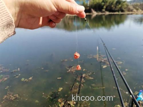 春夏之交 钓鲫鱼 用什么商品饵打窝子，钓鱼好？ 谢谢！