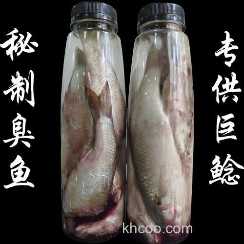 钓鲶鱼的臭鱼饵？