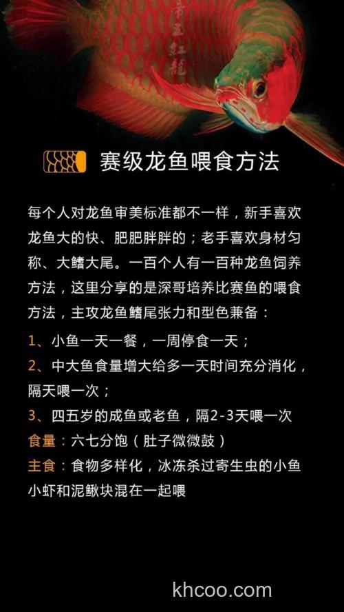 龙王恨鱼开胃的正确使用方法？