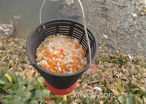 春天鱼窝的配制