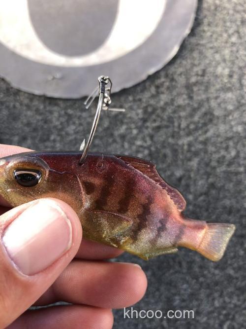 软诱精髓 DUO Realis Nomase Wakasagi 软鱼